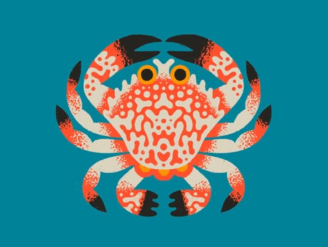 Brett Stenson, Rock Crab, Crab Drawing, 심플한 그림, Crab Art, Paint Illustration, Illustration Art Design, Animal Illustrations, Animal Graphic