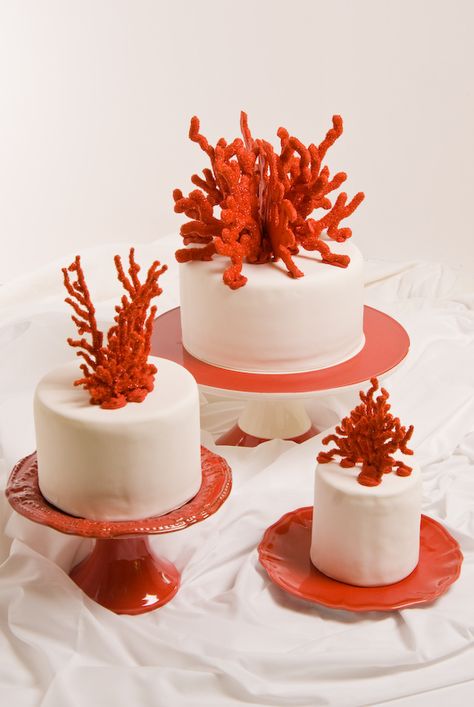 Fondant Coral, Coral Cake, Custom Sugar Cookies, Red Sugar, Sea Cakes, Beach Cakes, Beach Wedding Cake, Gourmet Cupcakes, Gorgeous Wedding Cake