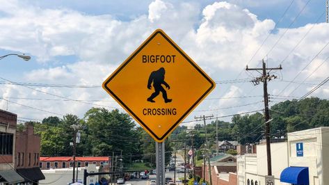 Western North Carolina Bigfoot Festival Bigfoot Festival, Western North Carolina, North Carolina, Novelty Sign, Festival, T Shirts