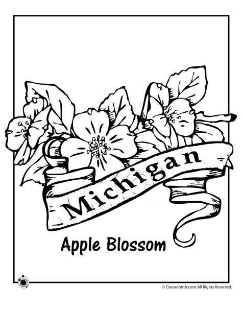 Michigan State Flower Coloring Page Michigan Apple Blossom, Kindergarten Geography, Michigan State Flower, Michigan Quilt, California Quilt, Embroidery Pins, State Flowers, Colorful Tattoo, Michigan History