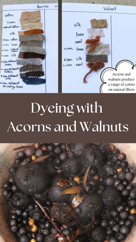 Natural dyeing with acorns and walnuts produces lovely tans and browns. If browns and tans seem boring to you, remember that they can be a great base for overdyeing. I particularly like tan overdyed with indigo. It shifts the primary blue of indigo dye into something darker, and a little more like teal. Browns and tans can also be shifted to grays and blacks with a dip in an iron bath. Read on to learn! Dyeing With Acorns, Acorn Dye, Eco Dyeing Fabric, Diy Dye, Natural Dye Fabric, Eco Dyeing, Natural Dyeing, Botanical Dyeing, Spinning Yarn