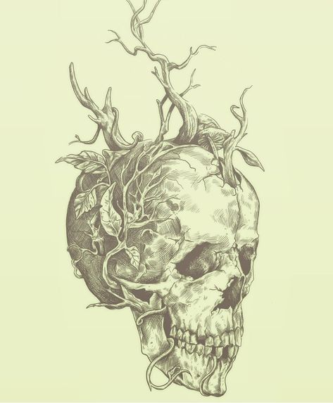 Skulls And Nature Tattoo, Overgrown Skull Drawing, Decaying Skull Tattoo, Overgrown Skull Tattoo, Skull Nature Tattoo, Skull With Vines Tattoo, Graveyard Garden, Skull Drawing Sketches, Skeleton Drawing