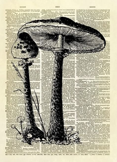 Tall Mushrooms, Woodland Mushrooms, Dark Academia Posters, Mushroom Poster, Printable Wall Collage, Grunge Posters, Wal Art, Book Page Art, Dictionary Art Print