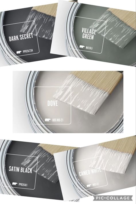 Gray Paint Colors, Dove Grey Paint, Behr Paint Colors Grey, Modern Farmhouse Color Palette, Basement Painting, Dove Painting, Exterior House Paint Color Combinations, Behr Paint Colors, Light Gray Paint