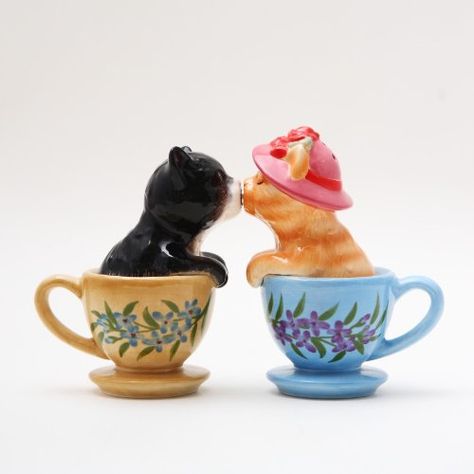 Amazon.com: ATTRACTIVES Salt and Pepper Shaker - Tea Cup Kitten: Chattering Chimps LLC Teacup Kitten, Cute Tea Cups, Teacup Cats, Salt Shaker, Salt And Pepper Set, Salt And Pepper Shaker, Salt And Pepper Shakers, Salt Pepper Shakers, Salt Pepper