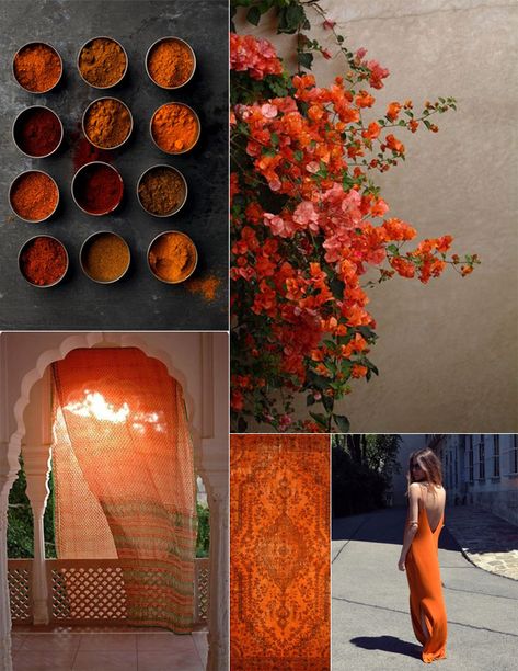 Orange Palette Aesthetic, Rust Aesthetic, Earth Tones Aesthetic, Bedroom Mood Board, Rectangle Bedroom, Winter Aesthetics, Bday Dinner, 2nd Chakra, Punk Wallpaper