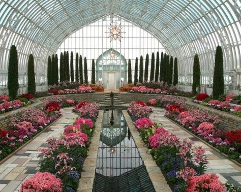 10 Things to do with kids in the Twin Cities بيوت ملكية, Winter Court, Katniss Everdeen, Zaha Hadid, Greenhouses, The Hunger Games, Plants And Flowers, The Hunger, Winter Garden