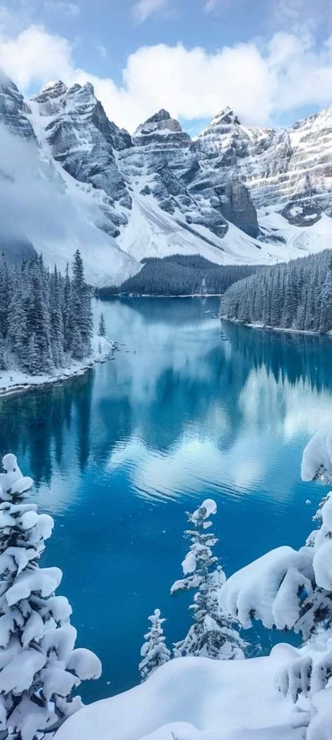 Moraine Lake, Banff National Park, Canada Banff National Park Canada, Ski Aesthetic, Night Sky Painting, Wallpapers For Mobile Phones, Moraine Lake, Sky Painting, Winter Beauty, Winter Art, Banff National Park