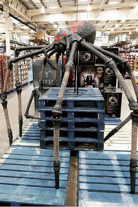 Costco's $200 Giant Animatronic Spider Is Too Realistic Giant Spider Decoration, Diy Halloween Animatronics, Costco Halloween, Halloween Giant Spider, Diy Halloween Spider, Glowing Red Eyes, Scary Halloween Decorations Diy, Halloween Animatronics, Halloween Spiders