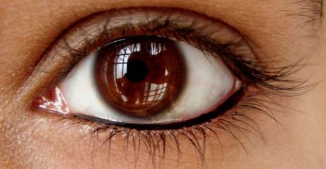 Kohl Eyes, Cordelia Carstairs, Eye References, Eye Kajal, Brown Eyes Aesthetic, Pure Castor Oil, Indian Eyes, Eye Ball, Beautiful Brown Eyes