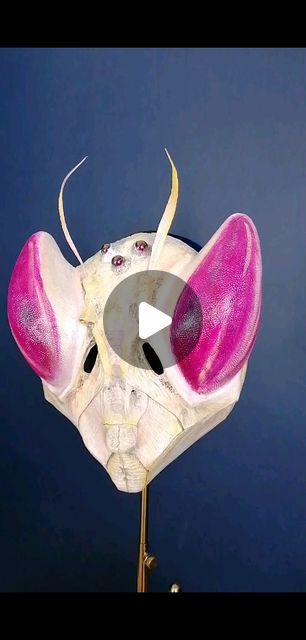 Pray Mantis Costume, Mantis Costume, Mantis Head, Bug Mask, Devils Flower Mantis, Praying Mantis Taxidermy, Orchid Mantis, Mask Making, Costume Design