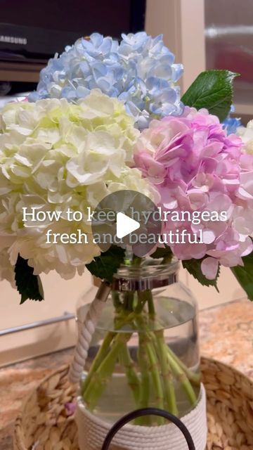 Kery B. on Instagram: "My secret to beautiful hydrangeas that will last a long time!" Hydrangea, Flowers, On Instagram, Instagram