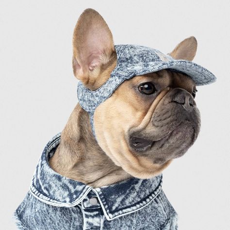 Denim Comeback Cap | Accessories | Canada Pooch Hats For Dogs, Denim Dog Collar, Canada Pooch, Dog Hats, Dog Outfits, Dog Business, Denim Cap, Denim Dog, Dog Scarf