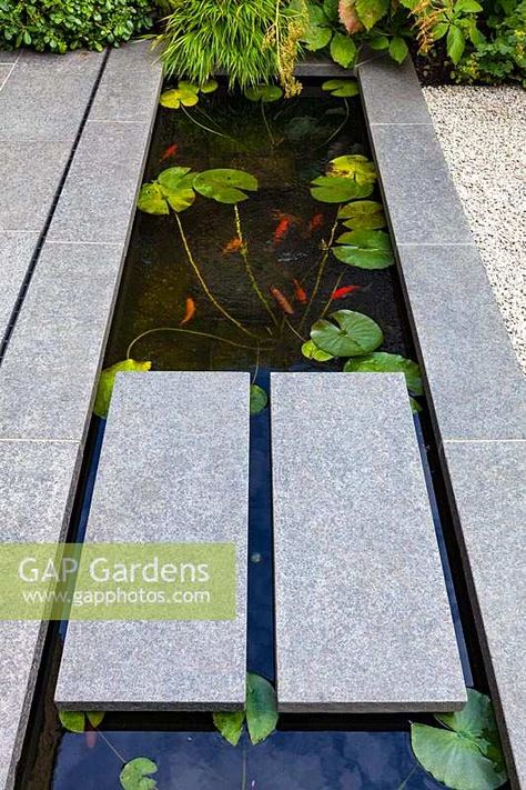 A detail shot of stepping stones over modern narrow garden pond and goldfish. Garden design by John Davies Landscape. Water Stepping Stones, Pond With Stepping Stones, Stepping Stones Over Water, Modern Pond Landscaping, Pond Stepping Stones, Modern Pond Design, Modern Garden Fountain, Garden Rill Ideas, Modern Pond Ideas