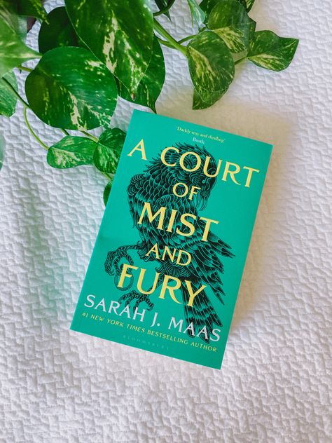 Acomaf Book Cover, A Court Of Mist And Fury Book Cover, A Court Of Mist And Fury Book, Book Wallpapers, Book Tropes, Books 2024, Court Of Mist And Fury, Tiktok Ideas, Book Wallpaper