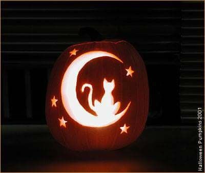 Crafty Ideas, Pumpkin Carving, Halloween Pumpkins, Pumpkins, Carving, Halloween