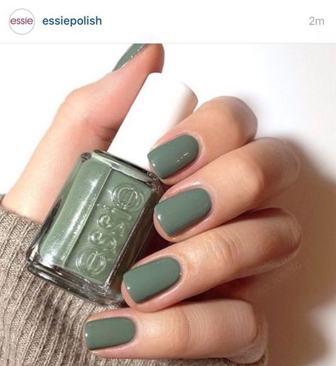 Essie green New Nail Colors, Nagellack Trends, Fun Nail Colors, Nail Color Trends, Green Nail, Soft Nails, Nails Polish, Pedicure Nail Art, Essie Nail