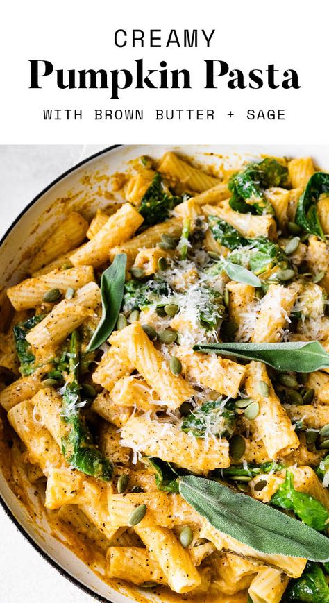 Pumpkin Sage Pasta, Sour Cream Pasta, Sage Pasta, Creamy Pumpkin Pasta, Baked Meals, Pumpkin Pasta Recipe, Pumpkin Pasta Sauce, Fall Pasta, Pumpkin Puree Recipes