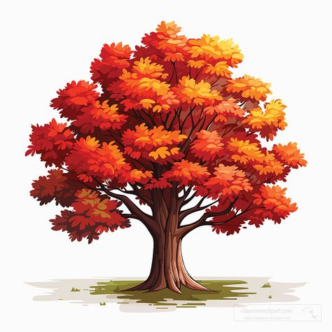 maple tree with bright orange red leaves clip art Leaves Drawing Fall, Fall Tree Illustration, Maple Tree Drawing, Leaves Clip Art, Tree Clip Art, Cartoon Tree, Fall Stickers, Cartoon Trees, Maple Trees