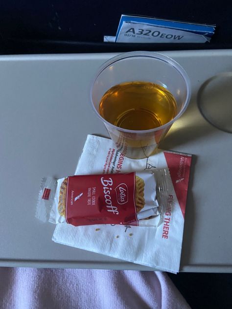 Apple Juice Aesthetic, Travel Aesthetic Airplane, Airplane Snacks, Aesthetic Airplane, Airplane Aesthetic, Airport Vibes, Airport Food, Airplane Food, Traveling Aesthetic