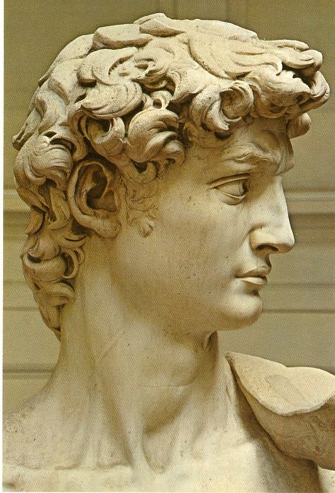 Michelangelo's "David" Sculpture Michelangelo, Statue Of David, Michelangelo's David, Classic Sculpture, Greek Statues, Roman Sculpture, Bust Sculpture, Greek Sculpture, Arte Sketchbook