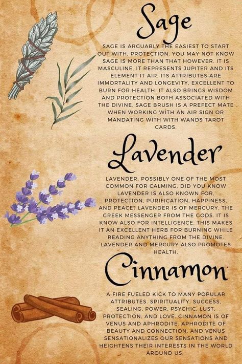 Witchy Herbs To Grow, How To Use Herbs For Medicine, How To Use Herbs, Burnable Herbs, Magical Herbs And Their Uses, Witch Herbs And Their Uses, Herbs Uses, Herbs For Witchcraft, Herb Meanings