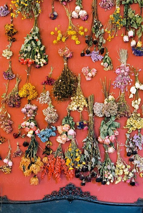 Dried Bouquet Wall Decor, Dried Flower Bouquet Wall, Flower Room, Yellow Room, Dried Bouquet, Same Day Flower Delivery, Local Florist, Red Walls, Dried Flower Bouquet