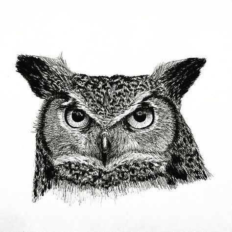 PENART | Henk-Jan Hospes on Instagram: "I know my account is mainly for architecture drawings but I was so inspired by @ariane_relander_art I wanted to draw animals myself now and then. Drawing realistic with pen is on a whole other level than drawing buildings and stuff. But here’s my take on a Great horned owl.🦉 . . . #birddrawing #greathornedowl #penandink #sketch #fineliner #pigmamicron #micron #micronpen #drawing #pendrawing #penart #sketchcollector #art #inklouvre #inkfeature #inkonpaper Owl Pen Drawing, Micron Drawing, Owls Drawing, Great Horned Owl, Realistic Art, Drawing Artwork, Nature Journal, Pen Art, Bird Drawings