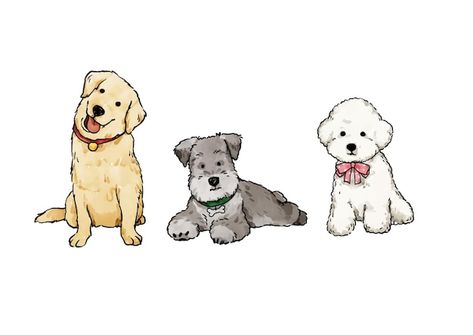 Dog Animation, Cute Borders, Animal Doodles, 강아지 그림, Poodle Puppy, Dog Illustration, Cute Dogs And Puppies, Cartoon Icons, Poodle Dog