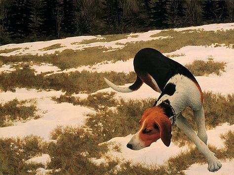 Alex Colville. Hound in Field (1958 ) | Flickr - Photo Sharing! Mysterious Things, Artist Film, Canadian Painters, Alex Colville, Magic Realism, Andrew Wyeth, Artist Blog, Art Brut, Canadian Art