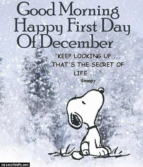 Good Morning Happy First Day Of December Pictures, Photos, and Images for Facebook, Tumblr, Pinterest, and Twitter First Day Of December, The Secret Of Life, Secret Of Life, December Quotes, Heather Stillufsen, Keep Looking Up, Happy December, Snoopy Quotes, Hello December