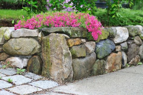 Wooden Retaining Wall, Boulder Wall, Inexpensive Backyard Ideas, Boulder Retaining Wall, Wood Retaining Wall, Rock Retaining Wall, Stone Walls Garden, Building A Retaining Wall, Stone Retaining Wall