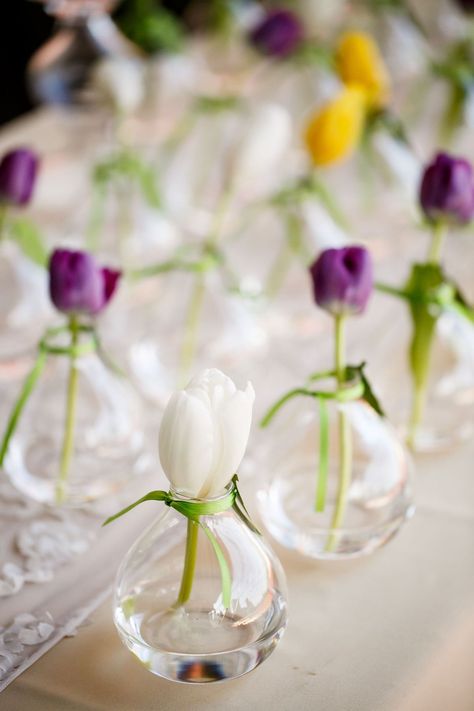 Tulip Centerpieces Wedding, Tulip Wedding Decorations, Lila Party, Tulip Centerpiece, Bud Vases Flowers, Tulip Decor, Garden Party Theme, Tulip Wedding, Couple Wedding Shower