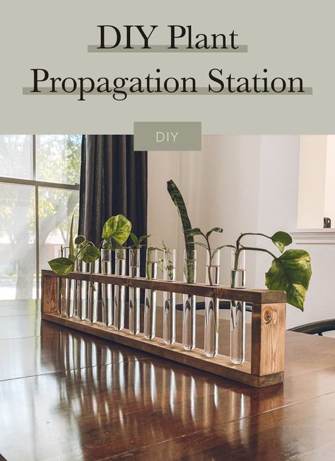 Epruvete Ideas, Propagation Shelf, Plant Hanger Stand, Diy Propagation, Propergation Station Diy, Wooden Propagation Station, Propagating Station Diy, Propagation Tubes Diy, Propagating Station