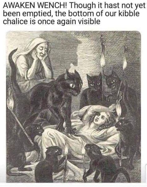 AWAKEN WENCH! Though it hast not yet been emptied, the bottom of our kibble chalice is once again visible – popular wholesome memes on the site ifunny.co Classical Art Memes, Extreme Sport, Occult Art, Arte Inspo, Art Memes, Classical Art, Crazy Cat Lady, Crazy Cats, Dark Art