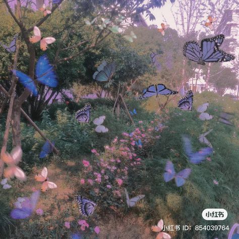 Butterfly Core Aesthetic, Insta Icon Highlights, Purple Fairytale, Ethereal Butterfly, Airy Aesthetic, Aesthetic Artsy, Soft Grunge Aesthetic, Imaginary World, Aesthetic Dark Academia