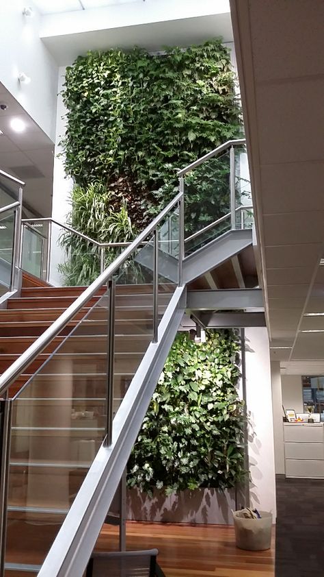 Living Wall Staircase, Under Stair Garden Indoor, Staircase Design With Plants, Stair Garden Indoor, Stairs Design With Plants, Indoor Garden Below Staircase, Office Stairs, Wall Gardening, Dulwich College