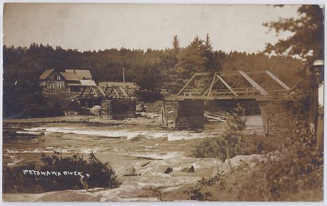 Petawawa c1908 Pembroke Ontario, Ottawa Valley, Old Bridge, Photo Postcard, Photo Postcards, My Photos, Historical Photos, Photo 1, Real Photos