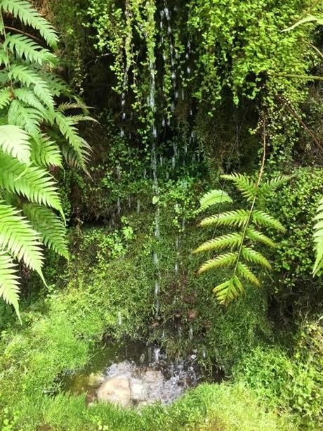 Greenhouse Terrace, Tiny Homestead, Rainforest Garden, Prayer Garden, Ferns Garden, Garden Water Feature, Nursery Garden, Pond Waterfall, Victorian Garden