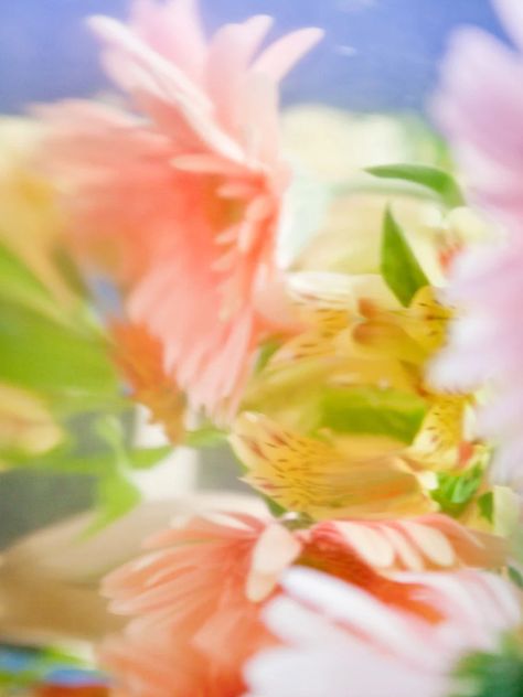 DIDIER DUBOT Muses: Paul Rousteau Paul Rousteau, Flowers Abstract, Twitter Header Aesthetic, Mood And Tone, Flower Therapy, Flower Photography, Abstract Images, Pixie Dust, Floral Background