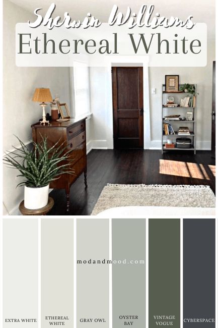 Sherwin Williams Ethereal White, Sw Ethereal White, Ethereal White Sherwin Williams, Etheral White, Ethereal Mood Sherwin Williams, Lakeside Farmhouse, Living Room Exterior, Best White Paint Colors, At Home Projects