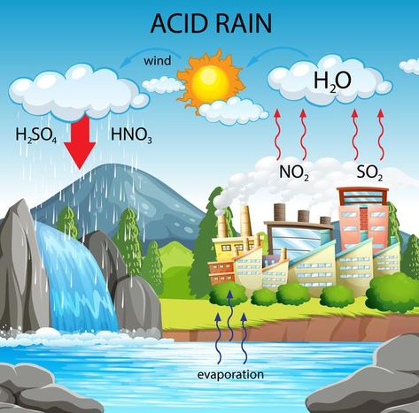 Diagram showing acid rain pathway | Free Vector #Freepik #freevector #background #poster #water #city Acid Rain Project, Science Diagrams, Science Chart, Chemistry Posters, School Science Projects, Rain Pictures, Acid Rain, Rain Photo, Grade 10