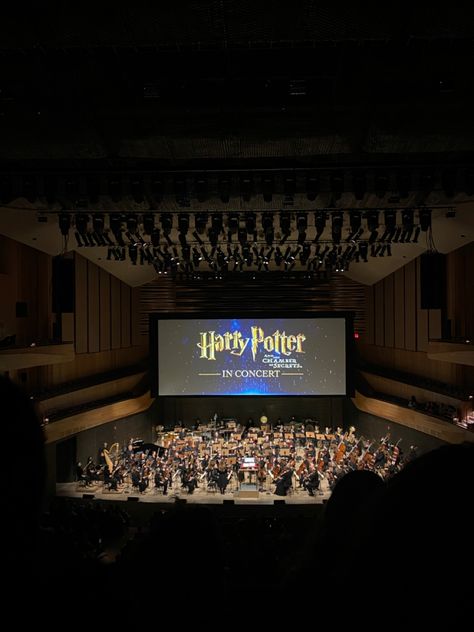 New york city nyc orchestra harry potter in concert Harry Potter Orchestra, Harry Potter Broadway, Harry Potter Theatre, Harry Potter Experience, Orchestra Concert, Harry Potter London, Orchestra Concerts, 2024 Goals, At Home Date