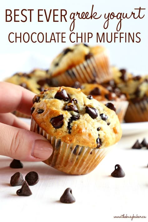 Greek Yogurt Chocolate, Yogurt Chocolate, Greek Yogurt Muffins, Chocolate Chip Muffin, Yogurt Muffins, Sugar Mountain, Pastas Recipes, Lunchbox Treats, Overnight Oat