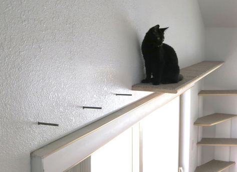 Diy Cat Shelves, Floating Cat Shelves, Katt Grejer, Cat Stairs, Cat Shelf, Cat Wall Shelves, Above Cabinets, Diy Hanging Shelves, Cat Wall Furniture