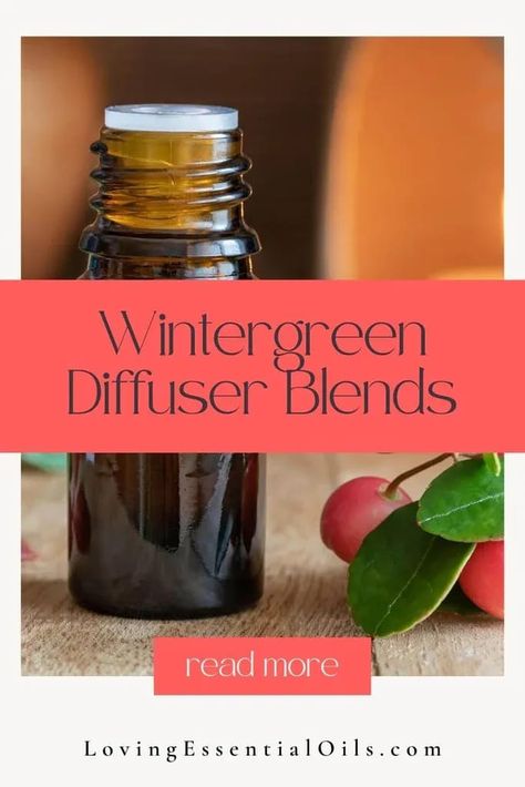 Wintergreen Essential Oil Diffuser Blends by Loving Essential Oils Essential Oil Diffuser Benefits, Massage Oil Blends, Wintergreen Essential Oil, Oil Substitute, Cypress Essential Oil, Essential Oil Diffuser Recipes, Oil Diffuser Recipes, Essential Oil Benefits, Diffuser Recipes