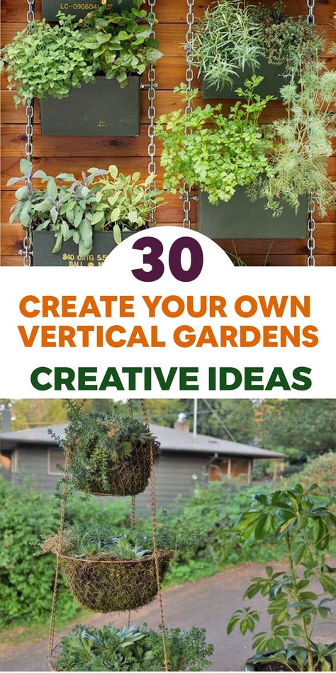 Enhance your gardening skills with creative DIY design concepts for crafting magnificent vertical gardens! Whether you're dealing with space constraints or aiming to infuse a distinctive charm into your outdoor sanctuary, vertical gardens offer an ideal remedy. Our imaginative suggestions span from converting old pallets into verdant plant partitions to repurposing hanging shoe organizers as herb havens. These innovative DIY plans will spark your imagination to view gardening in a new light. Vertical Container Gardening, Diy Design Ideas, Plant Walls, Diy Bird Cage, Diy Dog Crate, Tiered Planter, Vertical Garden Indoor, Diy Outdoor Lighting, Diy String Lights