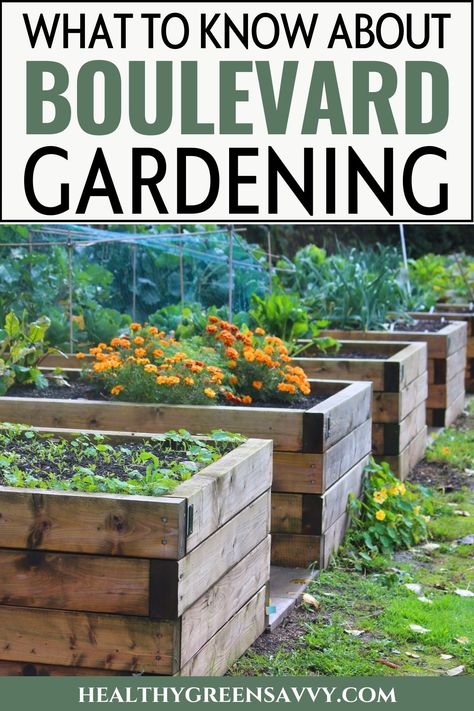 Ever wondered if you can grow food in your parking strip? Find out what the science says about best practices for growing edible gardens by the street. | boulevard garden | parking strip landscaping ideas | sidewalk strip landscaping ideas | hellstrip gardening | vegetable gardening | raised bed gardening | Inexpensive Raised Garden Beds, Tall Raised Garden Beds, Growing Veggies, Survival Gardening, Garden Guide, Top Soil, Raised Bed, Garden Boxes, Plant Roots