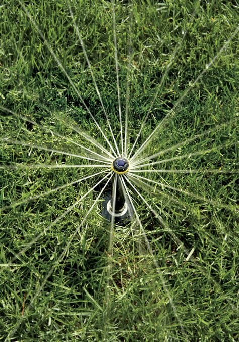 How To Replace or Raise a Sprinkler Head - This Old House Lawn Stars, Sprinkler System Diy, Water Sprinkler System, Irrigation System Diy, Shower Options, Drought Resistant Landscaping, Water Irrigation, Water Timer, Sprinkler Irrigation