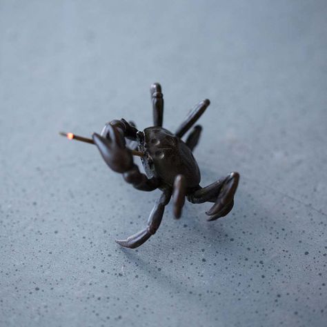 Tea Pet, A Turtle, Incense Holder, Paper Weight, Incense, Crab, Matter, Fox, Copper